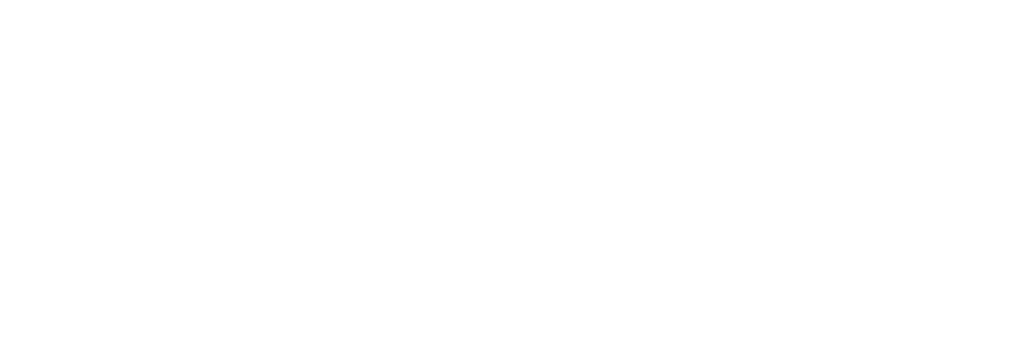 WordPress-logotype-standard-white-1536x522